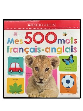 BUNDLE & SAVE🎉 FRENCH Mes 500 mots français-anglais" Large Book